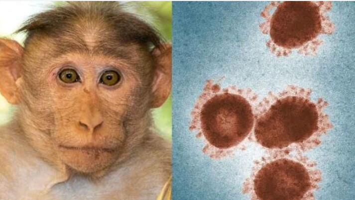Monkey B Virus.